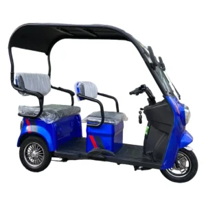 Електрическа триколка с покрив MaxMotors 1500W