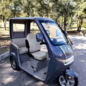 Електрическа триколка триместна MaxMotors Luxury BUS Chameleon