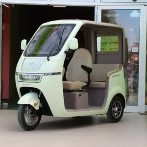 Електрическа триколка триместна MaxMotors Luxury BUS Green