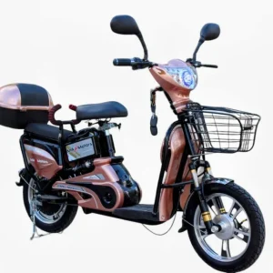 Електрически Скутер MaxMotors c Двойна Седалка 500W EBZ16