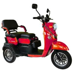 Триместна електрическа триколка MaxMotors X2 1500W