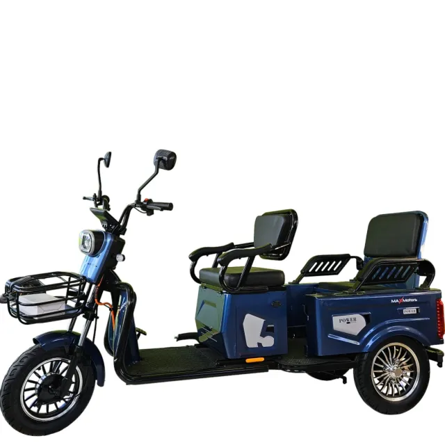 Двуместна електрическа триколка карго MAXMOTORS 1500W 20 AH - Image 6