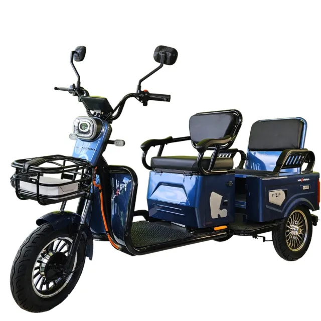 Двуместна електрическа триколка карго MAXMOTORS 1500W 20 AH - Image 7